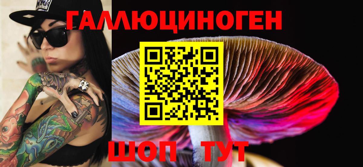 Псилоцибиновые грибы прущие грибы  Галлюциногенные грибы мухоморы  Вход с VPN  Унеча 