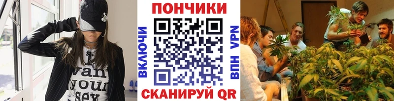где купить наркоту  Унеча  mega зеркало  Марихуана Ganja 